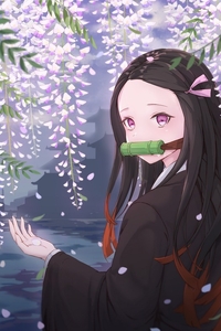 [P站画师] ID:31499652 24/11月最新阅览 [100P/143MB]